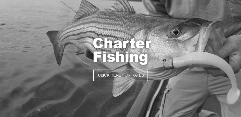 Martha's Vineyard Charter Fishing